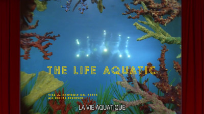 La vie aquatique_2004