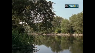 Il commissario Rex 07x08